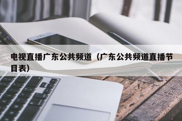 电视直播广东公共频道（广东公共频道直播节目表）