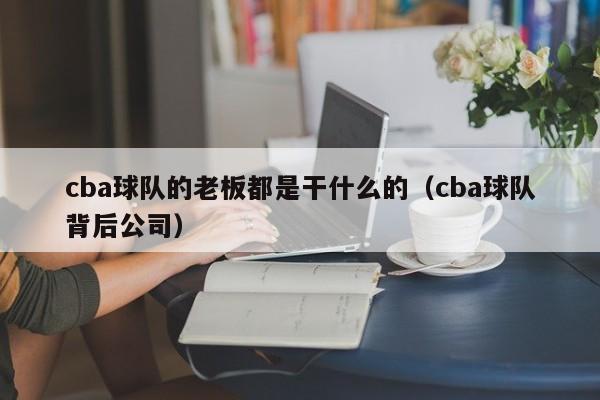 cba球队的老板都是干什么的（cba球队背后公司）