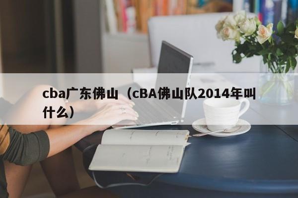cba广东佛山（cBA佛山队2014年叫什么）