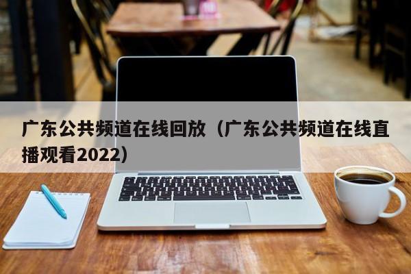 广东公共频道在线回放（广东公共频道在线直播观看2022）
