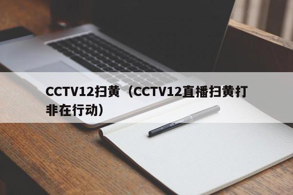 CCTV12扫黄（CCTV12直播扫黄打非在行动）