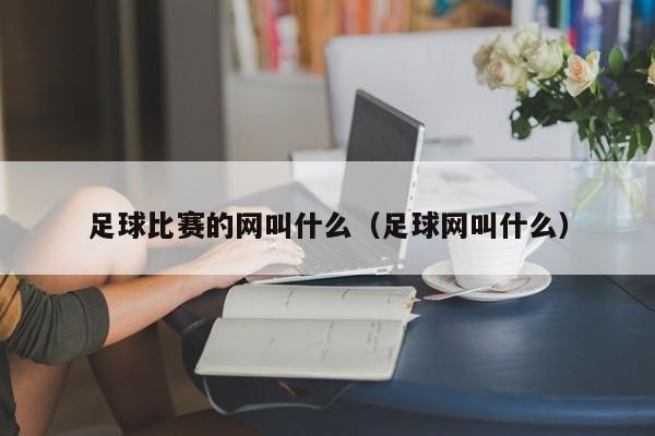 足球比赛的网叫什么（足球网叫什么）