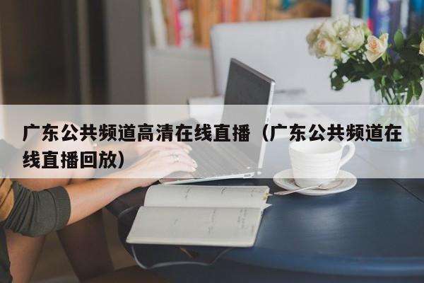 广东公共频道高清在线直播（广东公共频道在线直播回放）